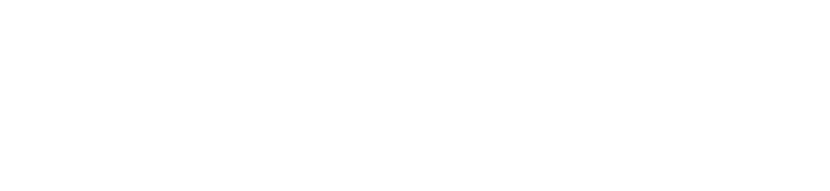 Truvison